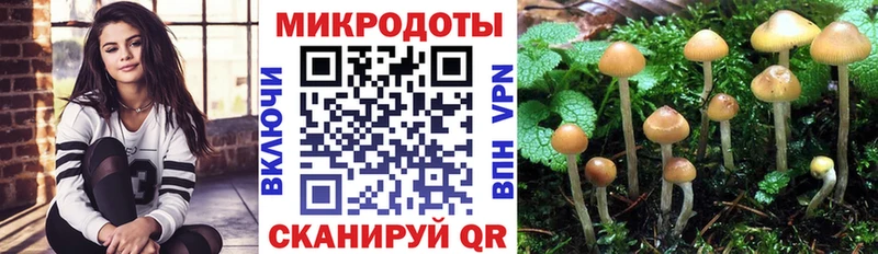 Псилоцибиновые грибы Psilocybe  Игра 